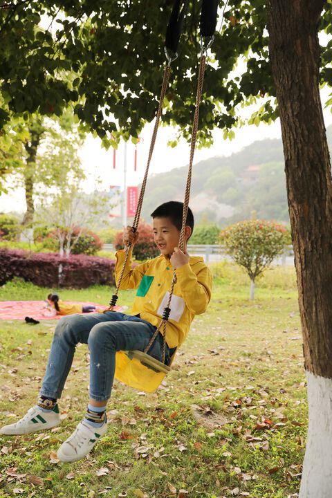 Outdoor Wooden Tree Swing with Hanging Ropes