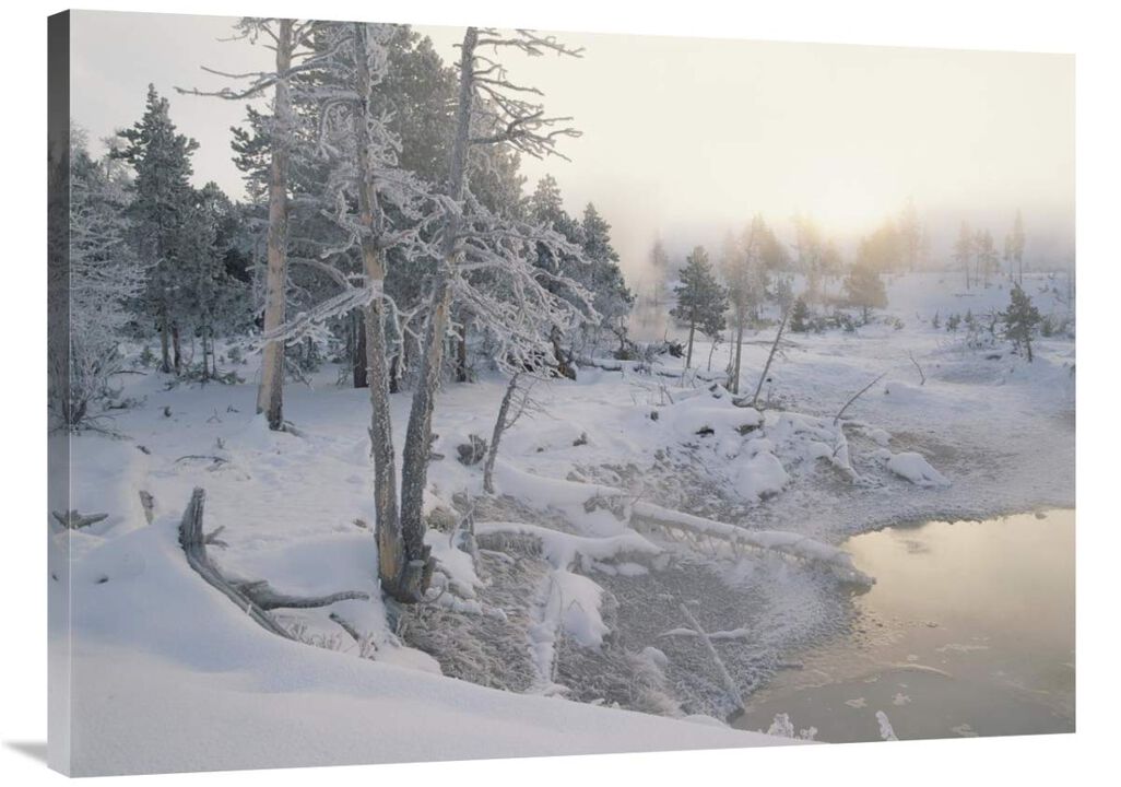 Upper Geyser Basin in winter, Yellowstone National Park, Wyoming-Canvas Art-40x30
