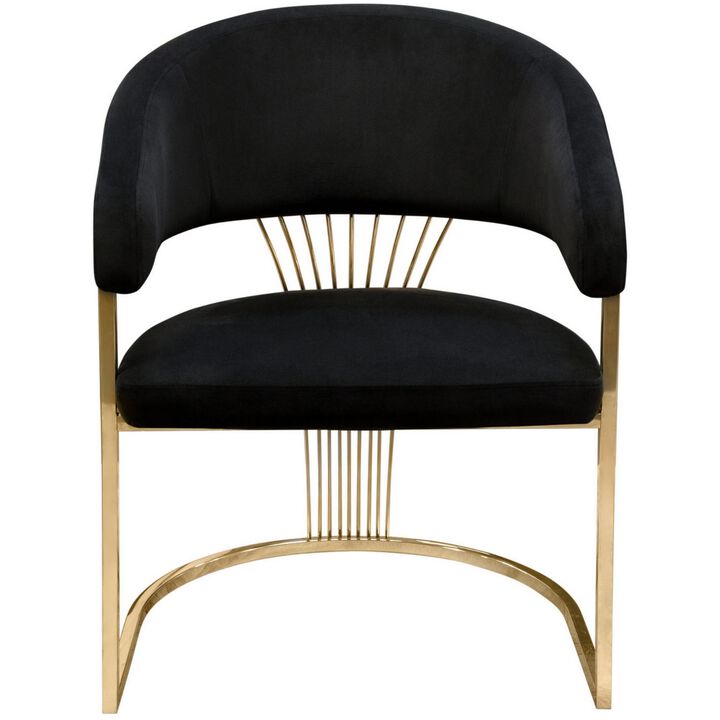 Emy 26 Inch Cantilever Barrel Dining Chair, Black Velvet Upholstery, Gold - Benzara