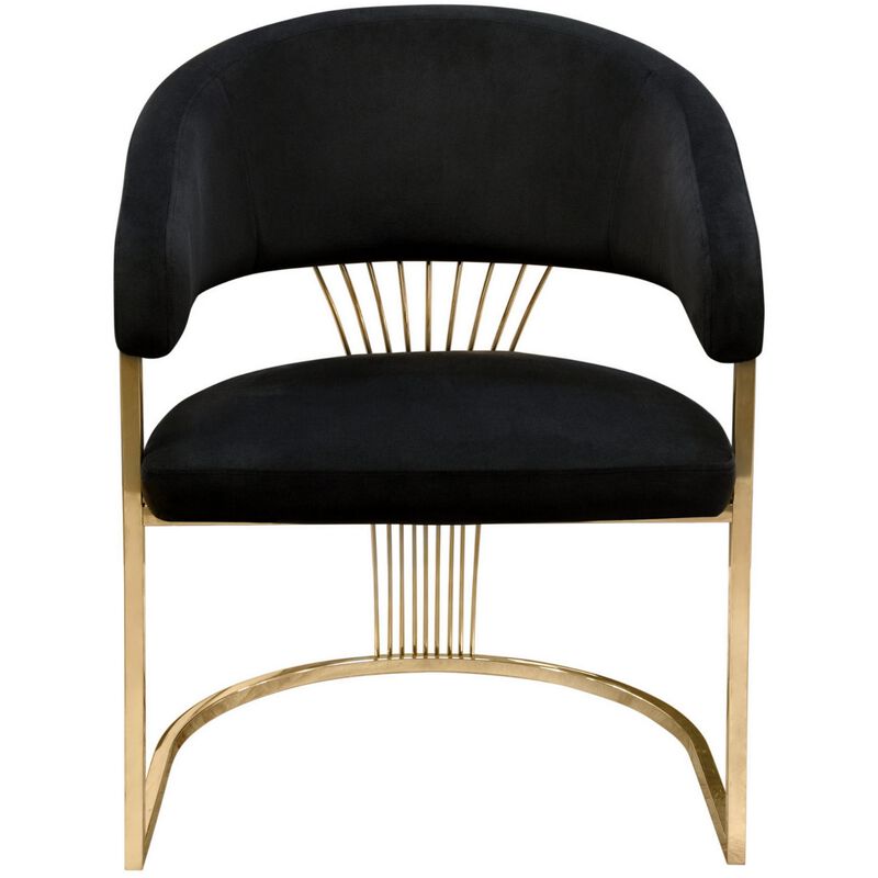 Emy 26 Inch Cantilever Barrel Dining Chair, Black Velvet Upholstery, Gold - Benzara