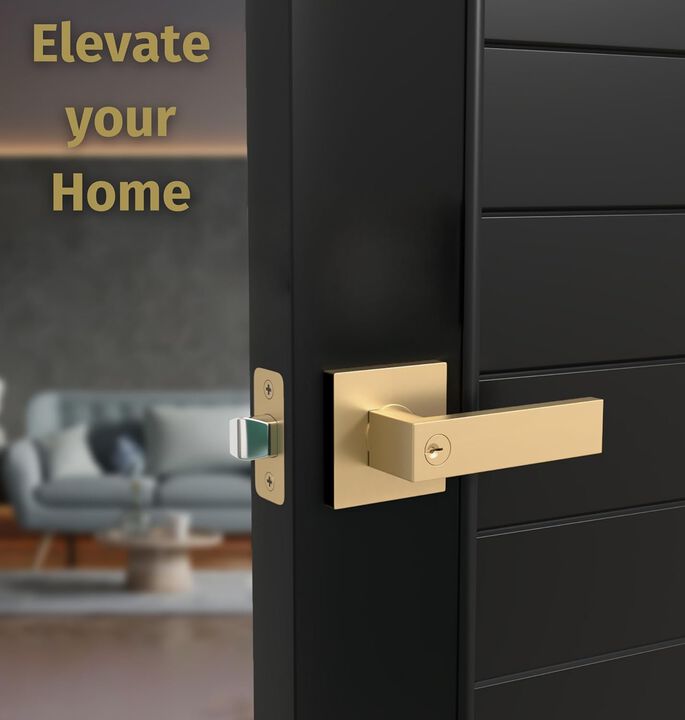 Mega Handles | Robell Entry Lever