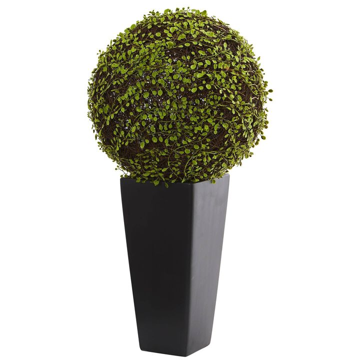 Nearly Natural 2.5-in Mohlenbechia Ball in Black Tower Vase