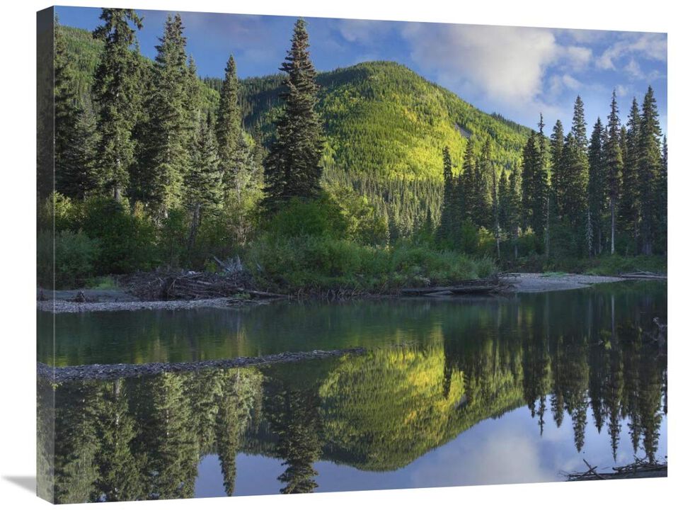 Pine River, Hart Ranges, British Columbia, Canada-Canvas Art-32x24