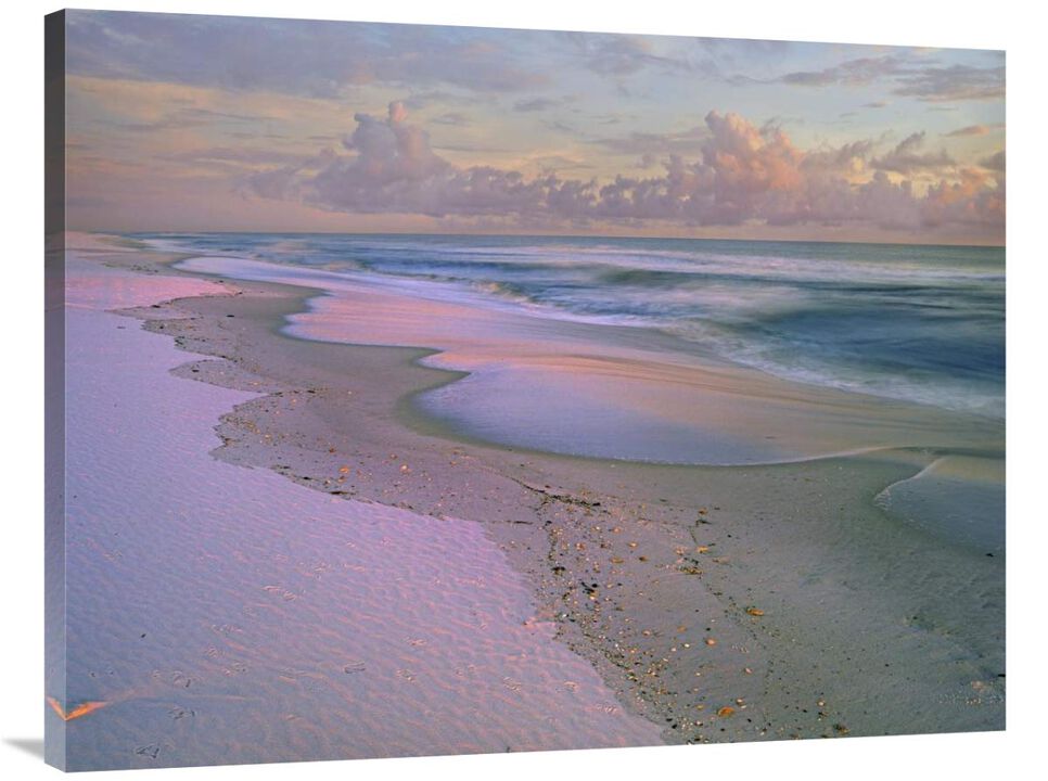 Beach at sunrise, Gulf Islands National Seashore, Florida-Canvas Art-40x30
