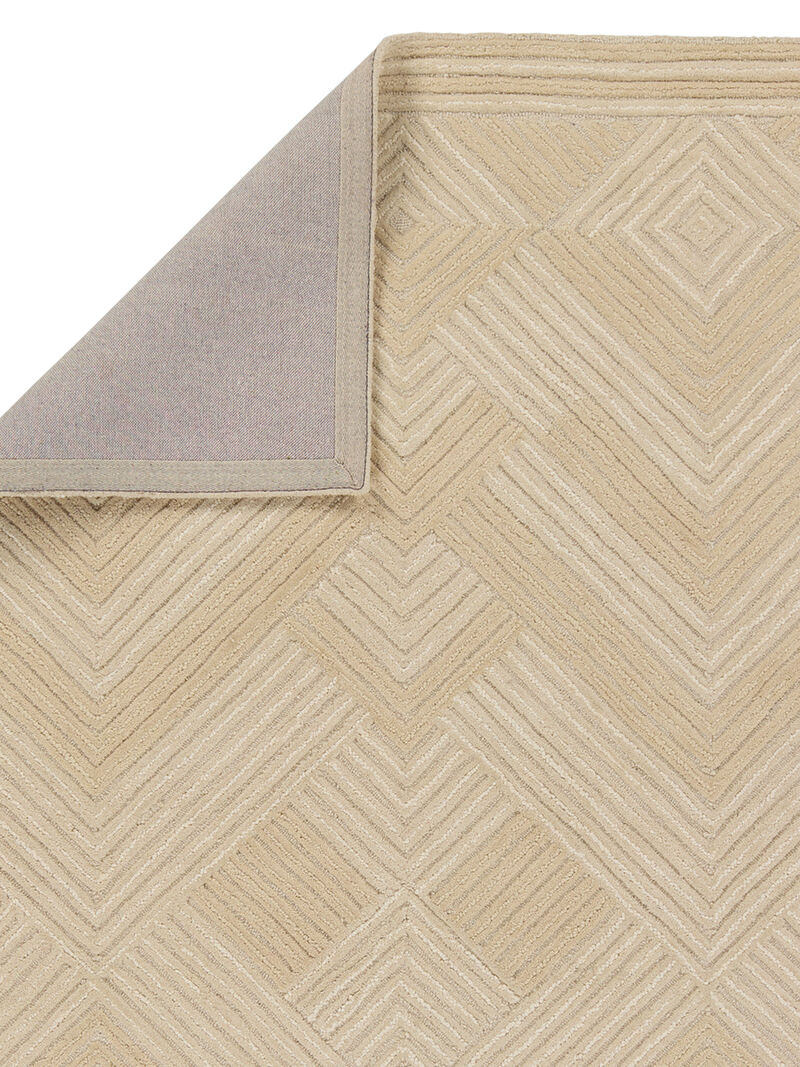 Farryn Silva Tan/Taupe 10' x 14' Rug