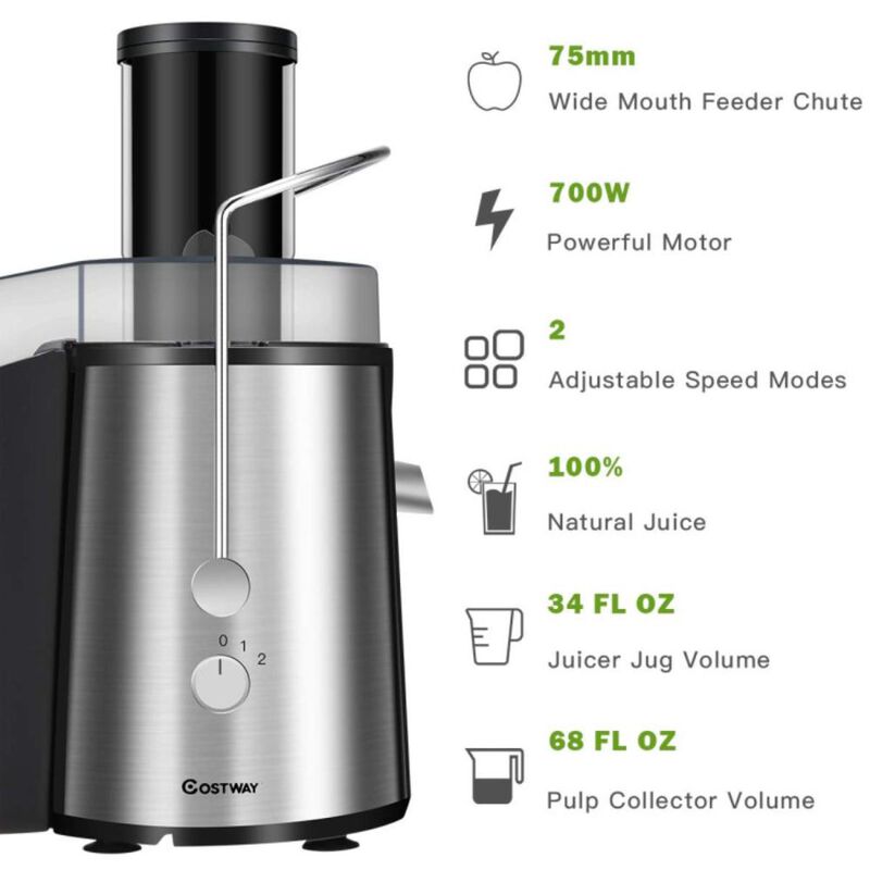 Hivvago 2 Speed Electric Juice Press for Fruit and Vegetable