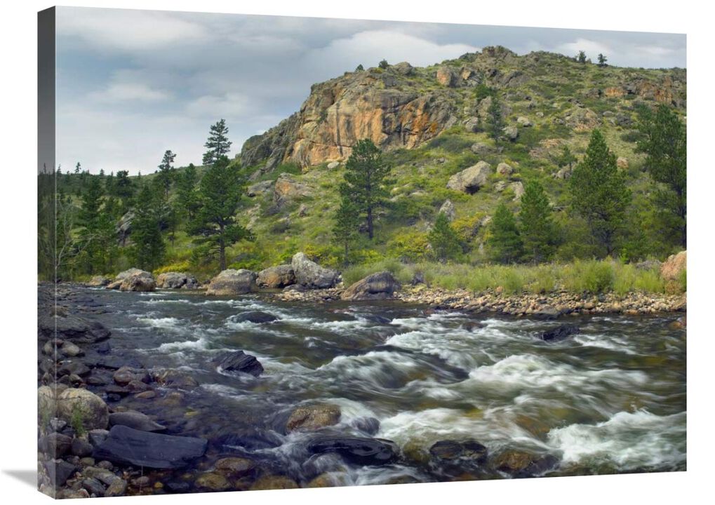 Rapids with cliffs above Cache La Poudre River, Colorado-Canvas Art-32x24
