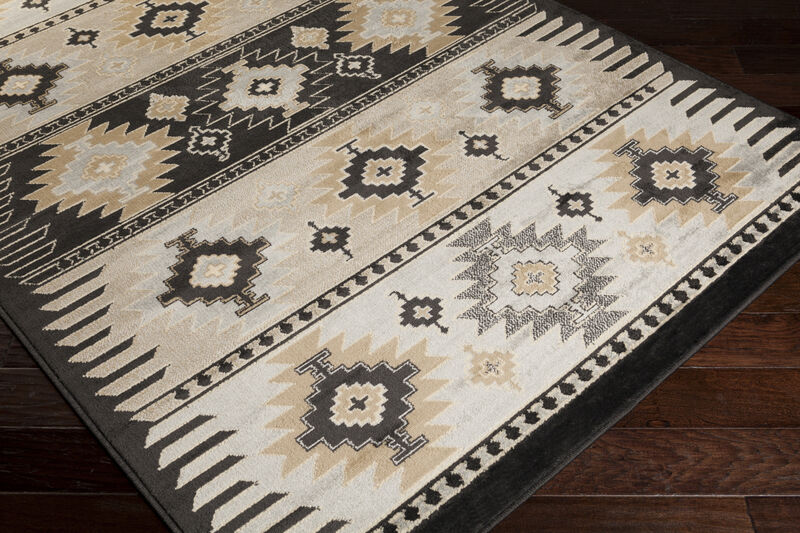Paramount PAR-1046 8'10' x 12'10' Black Rug