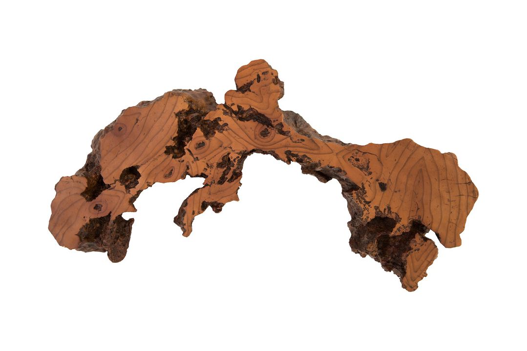 Burled Root Medium Wall Art