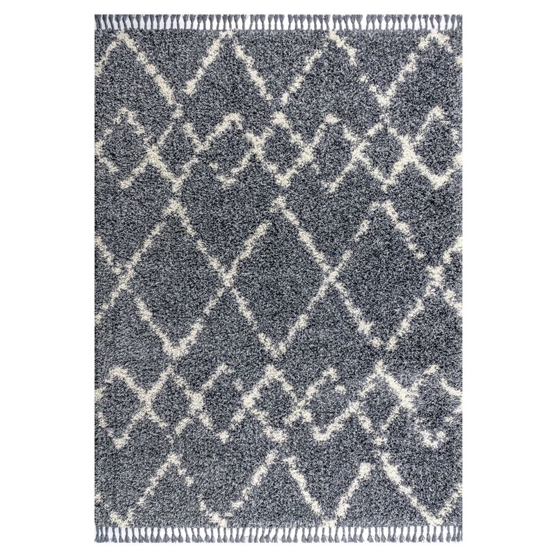Mercer Shag Plush Tassel Moroccan Tribal Geometric Trellis Area Rug