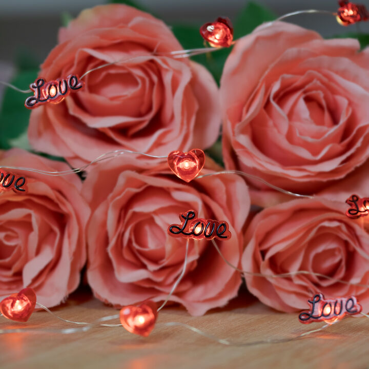 20-Count Red Valentine's Day Love and Heart LED Fairy Lights  6.25ft  Copper Wire