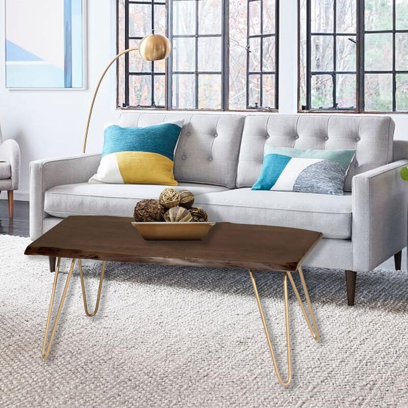Carolina Living Seti Live Edge Coffee Table/Bench - Elm Top - Gold Base