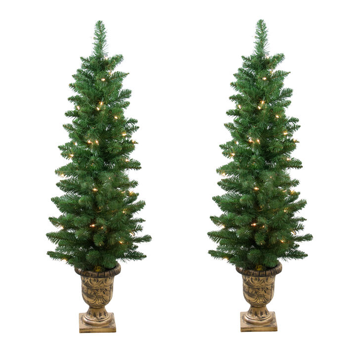 Set of 2 Pre-Lit Whitmire Pine Potted Artificial Christmas Trees 4' - Clear Lights