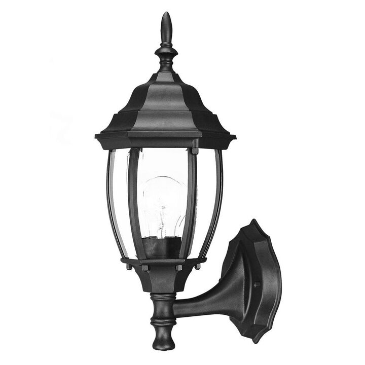 Hivvago Matte Black Globe Lantern Wall Light