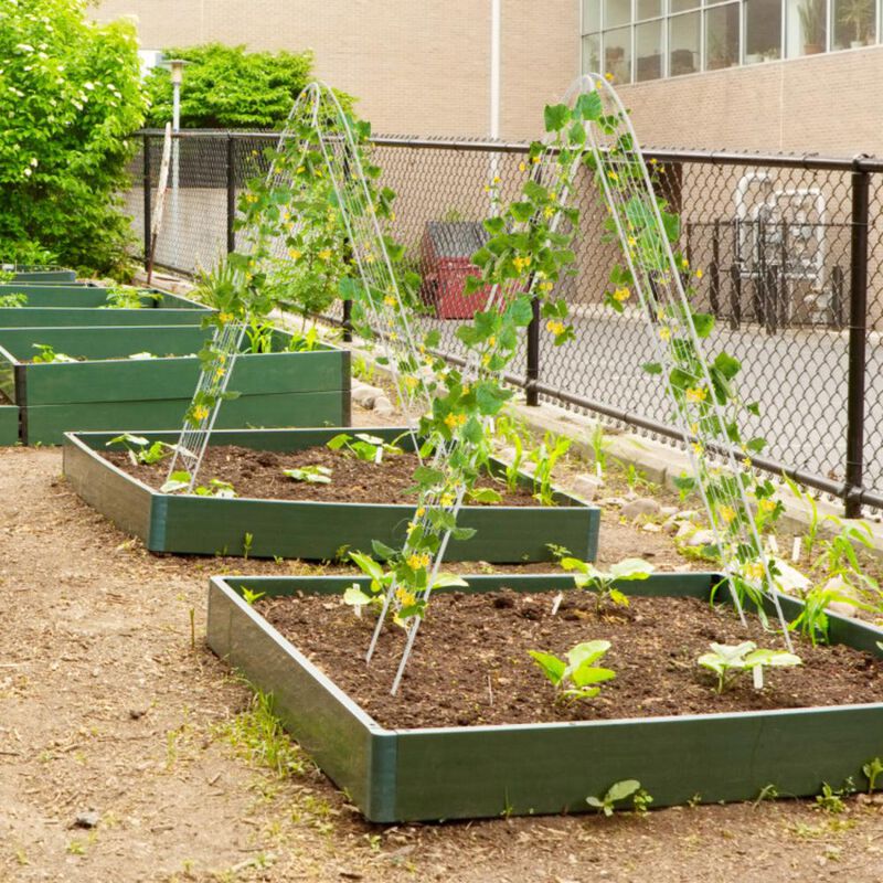 Hivvago 4 Pack 71 x 20 Inches Metal Garden Trellis for Climbing Plants