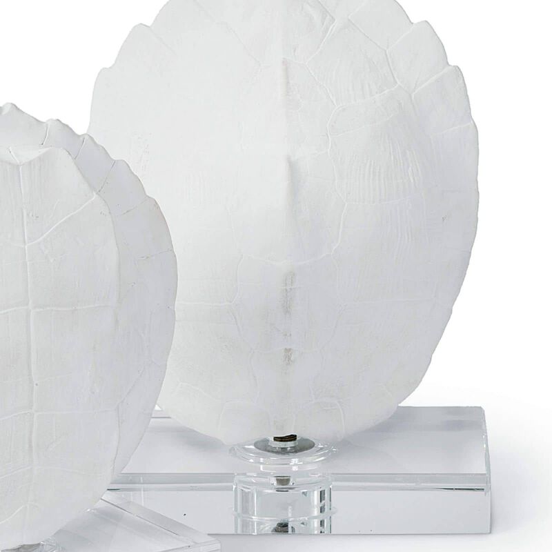 Turtle Shells On Crystal