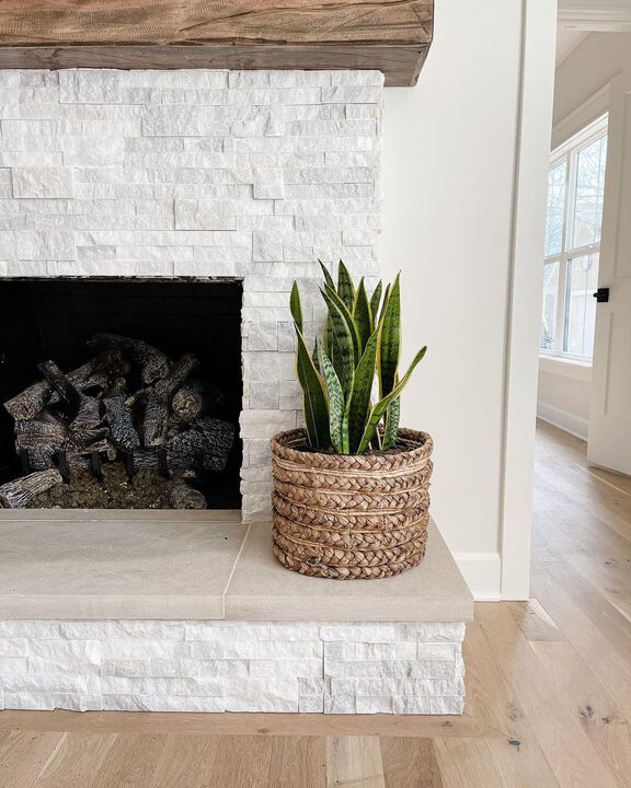 Nearly Natural 38-in Sansevieria Artificial Plant