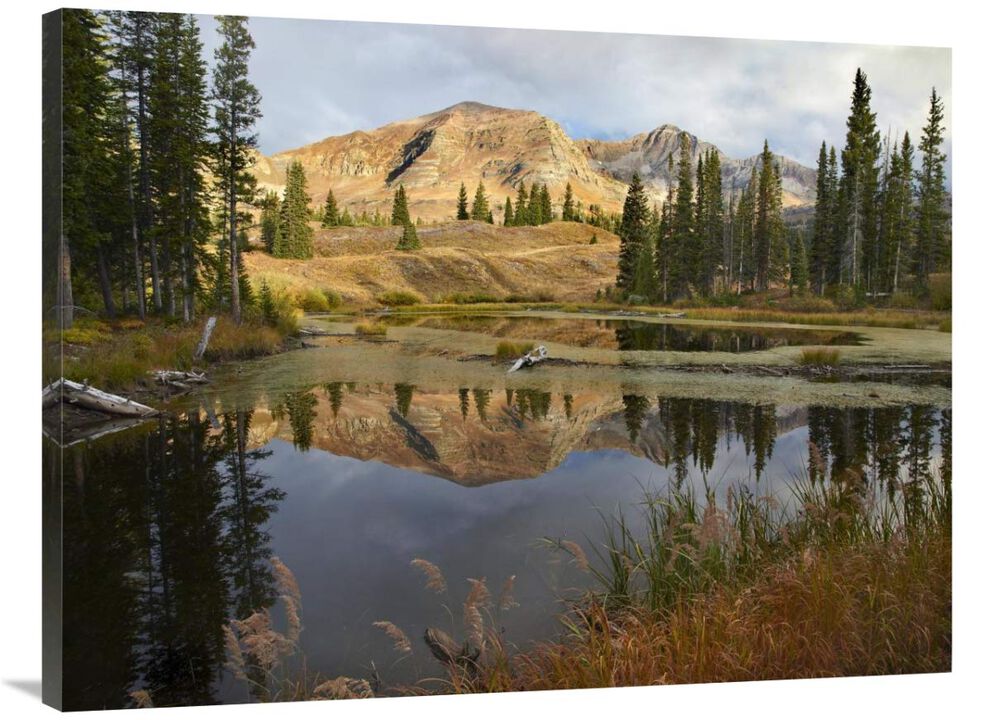 Ruby Range reflected in pond, Raggeds Wilderness, Colorado-Canvas Art-40x30