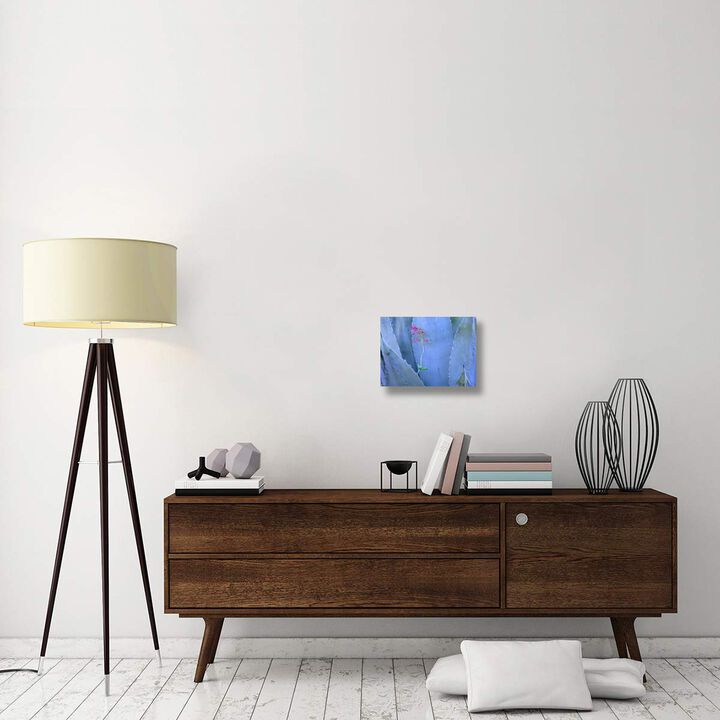 Agave and Parrys Penstemon close up, North America-Canvas Art-16x12