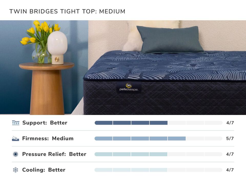 Perfect Sleeper Twin Bridges Plush Twin-XL Mattress
