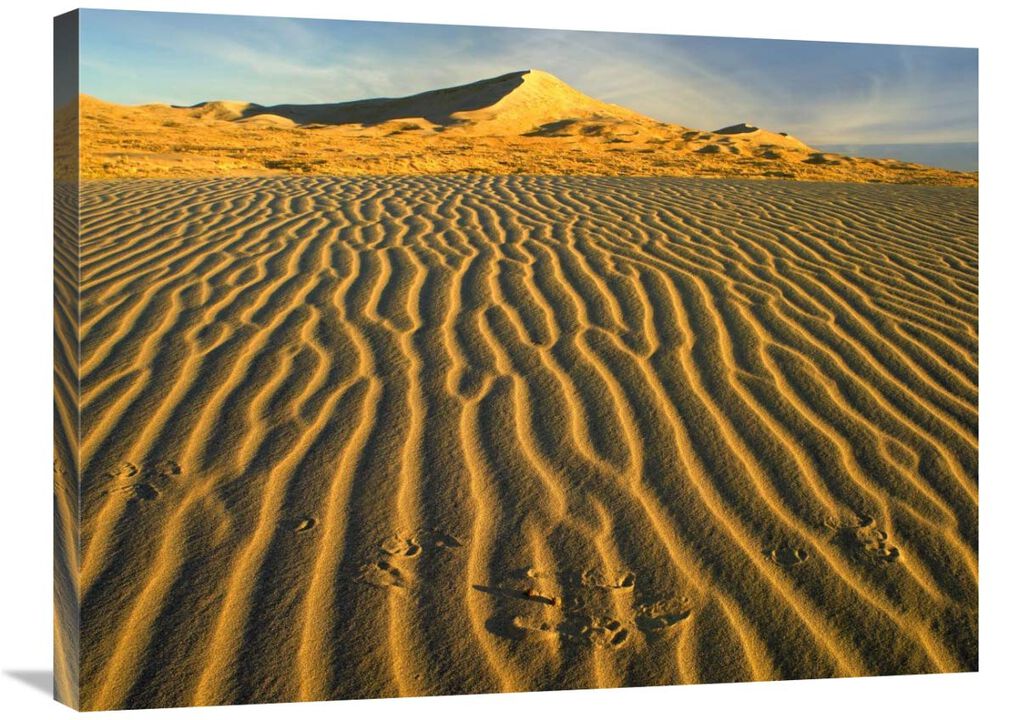 Wind ripples in Kelso Dunes, Mojave National Preserve, California-Canvas Art-32x24