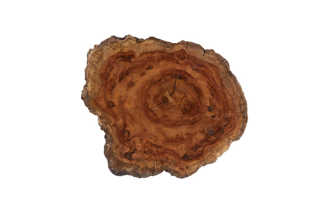 Burled Large Coffee Table