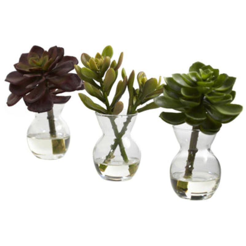 Hivvago Succulent Arrangements (Set of 3)