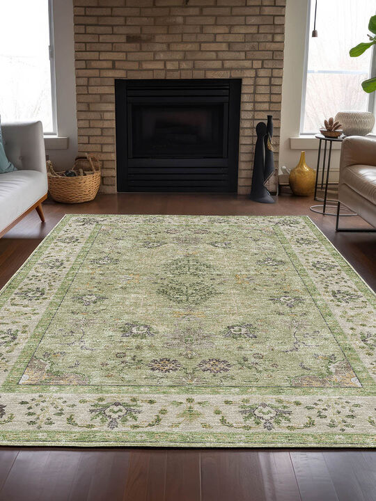 Hatay HY9 Aloe 10' x 14' Rug