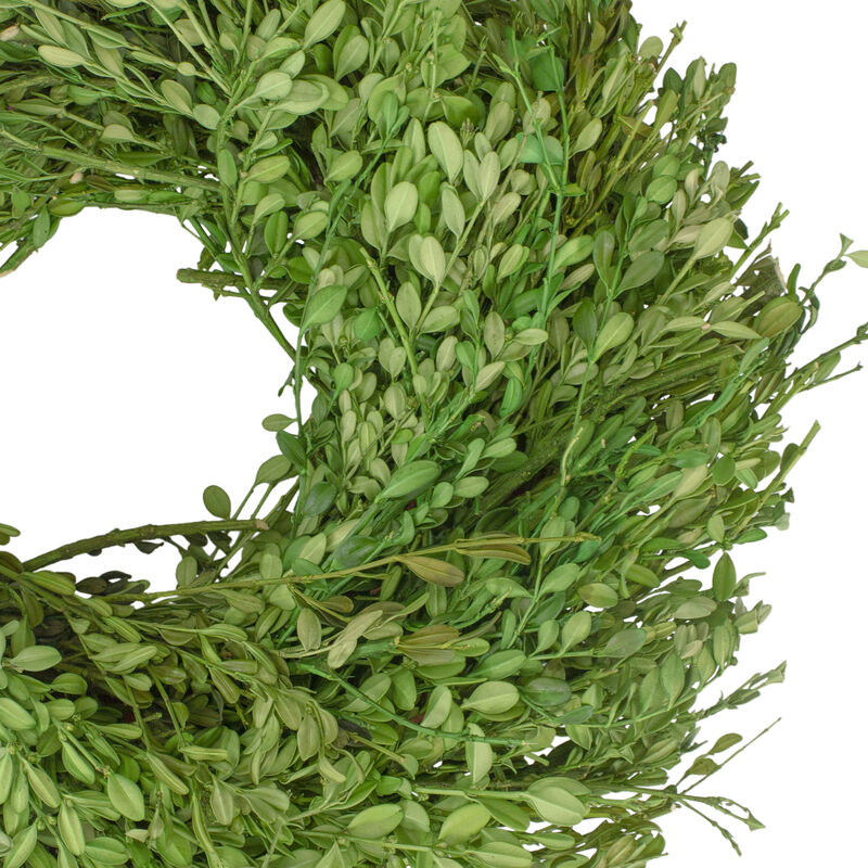 Green Foliage Artificial Spring Wreath  15-Inch