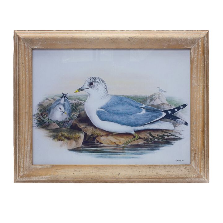 Sea Bird Print Under Glass – Framed Coastal Wall Art for Home, Office, and Nautical Living Room Decor