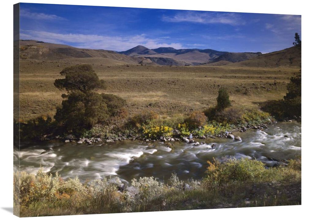 River flowing though meadow, Yellowstone National Park, Wyoming-Canvas Art-40x30