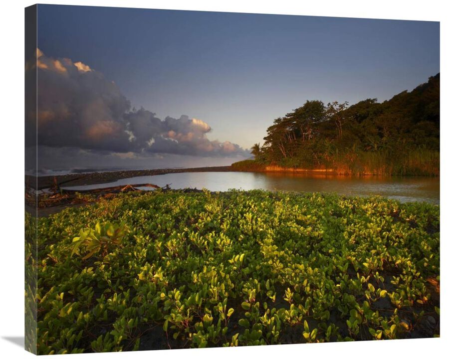 Lagoon near coastline, Corcovado National Park, Costa Rica-Canvas Art-30x25.2