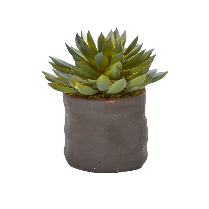 Hivvago Mixed Succulent Trio Artificial Plant (Set of 3)