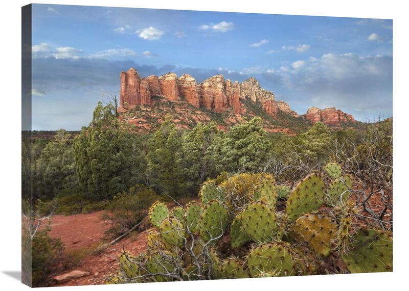 Coffee Pot Rock near Sedona, Arizona-Canvas Art-32x24