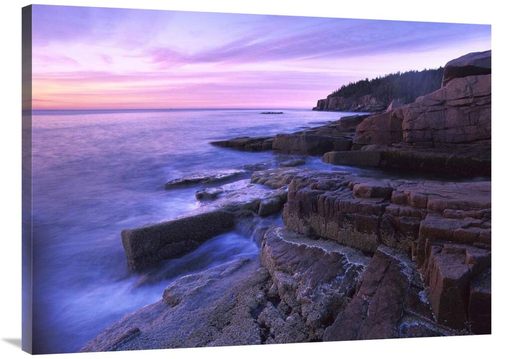 Atlantic coast near Thunder Hole, Acadia National Park, Maine-Canvas Art-40x30