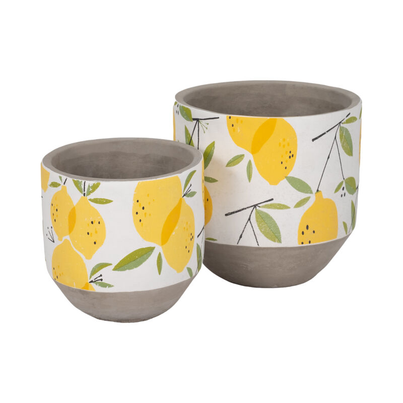 Growing Lemons Planter