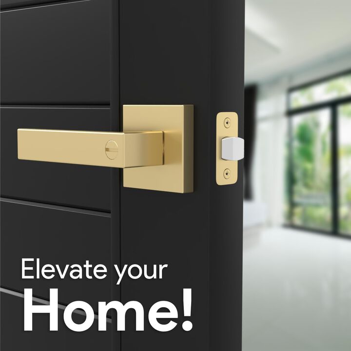 Mega Handles | Robell Privacy Lever