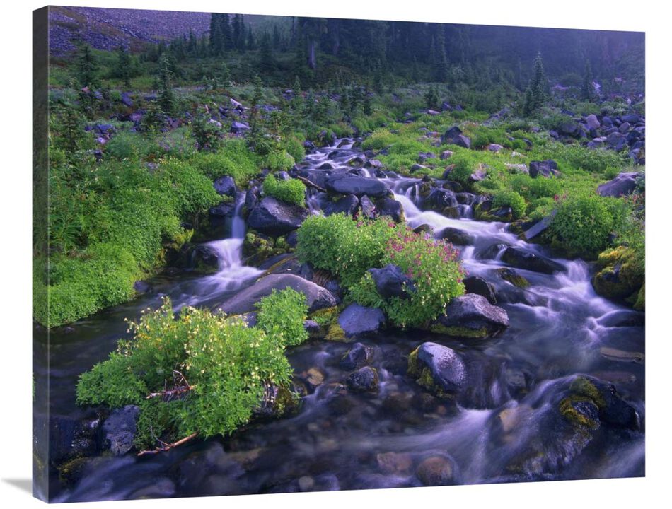 Paradise River with wildflowers, Mount Rainier National Park, Washington-Canvas Art-35x28