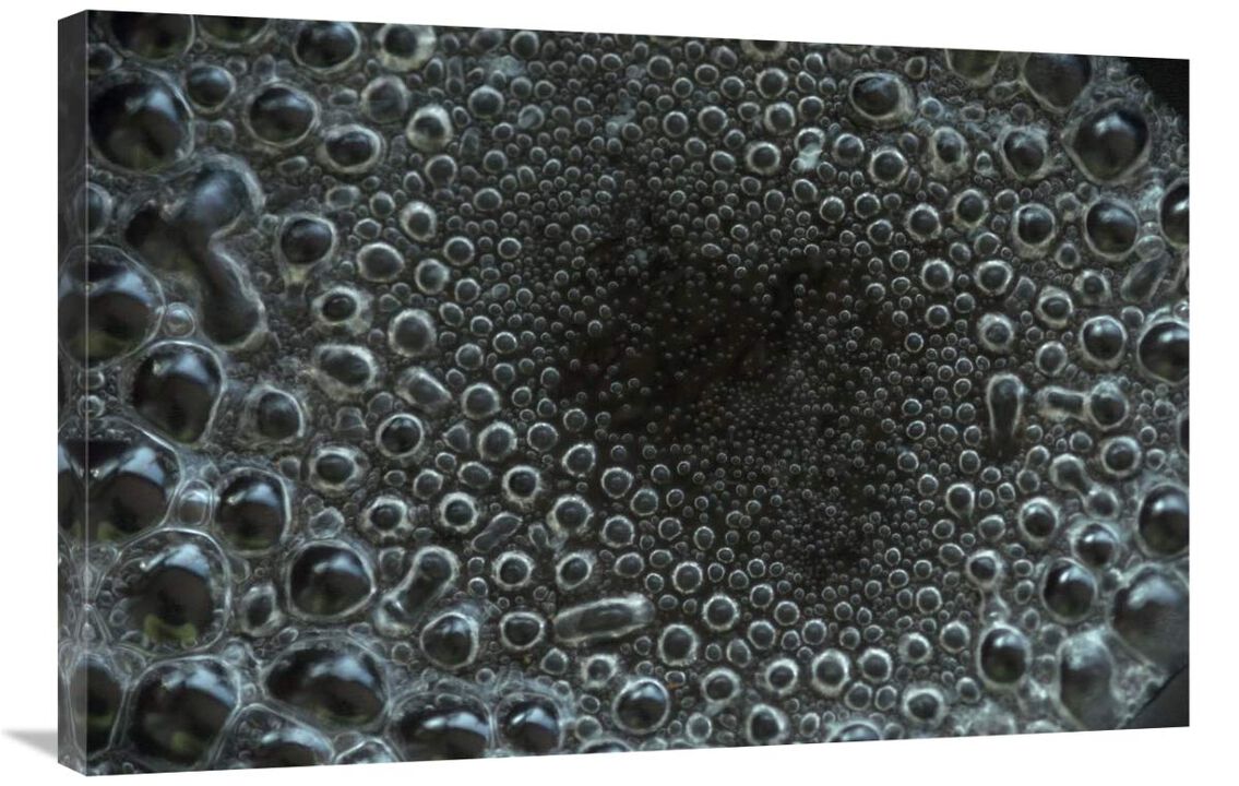 Water boiling in pan-Canvas Art-36x24