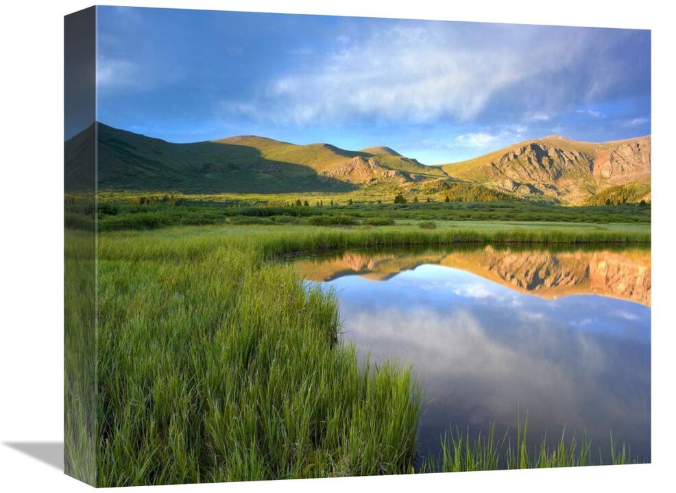 Mount Bierstadt from Guanella Pass reflected in pond, Colorado-Canvas Art-16x13.28