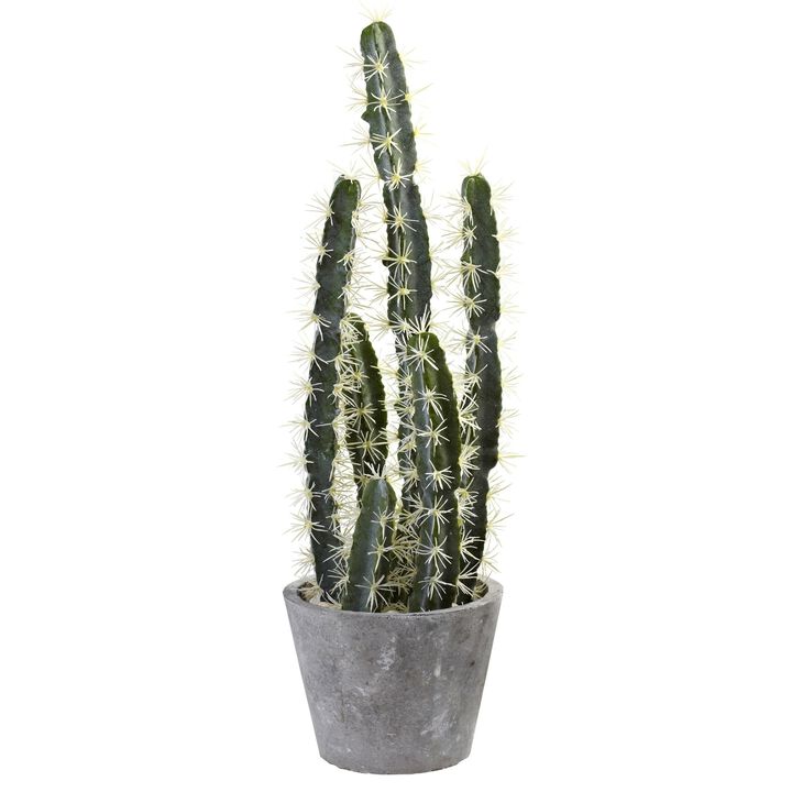 Hivvago Decorative Cactus Garden w/Cement Planter