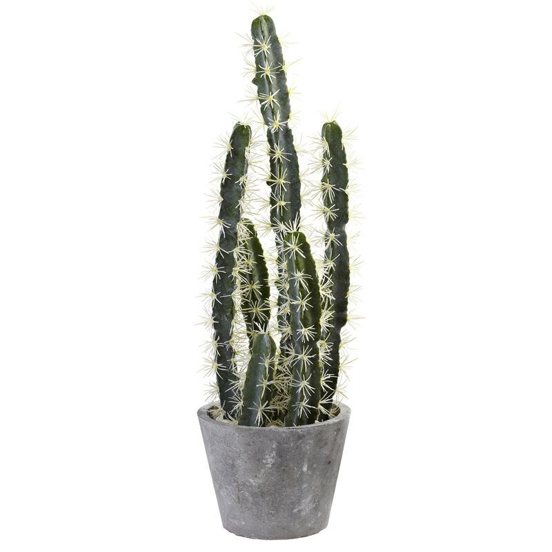 Hivvago Decorative Cactus Garden w/Cement Planter