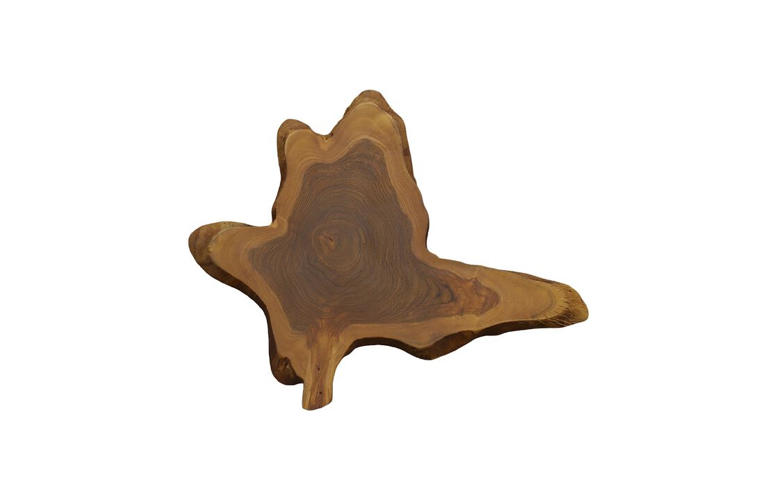 Freeform Teak Wall Slice