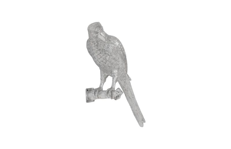 Parrot Looking Left Wall Art