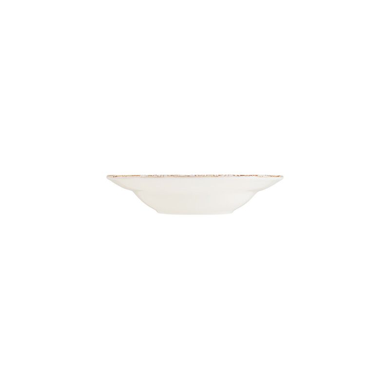 Patera dia.9.5" h:2" 14 oz. Round Decorated Porcelain Bowl (Set of 2)