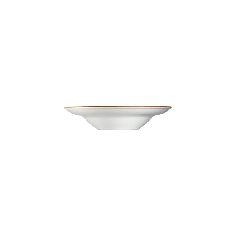 Dusk dia.9.5" h:2" 14 oz. Round Blue Porcelain Bowl (Set of 2)