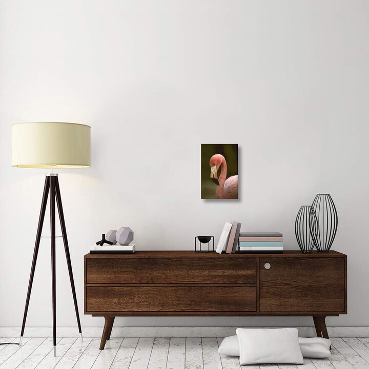 Greater Flamingo, Caribbean-Canvas Art-12x18