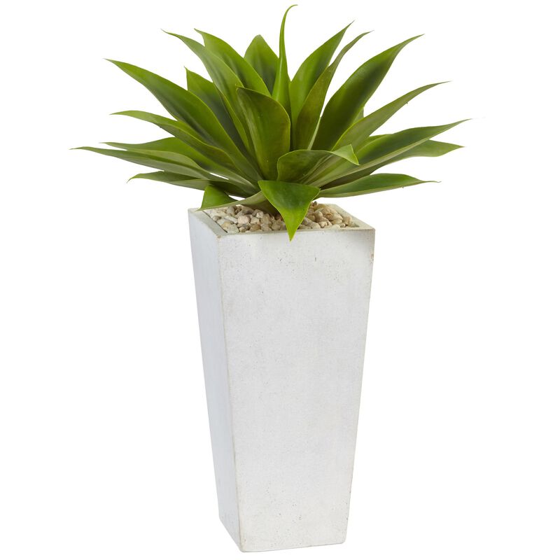 Hivvago Agave in White Planter