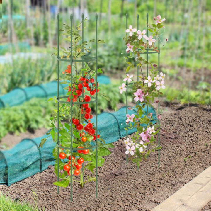 Hivvago 2-Pack Garden Trellis Tomato Cage with Adjustable Height