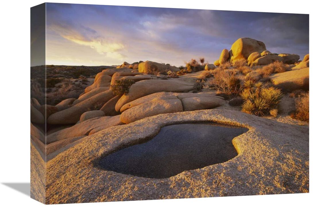 Water that has collected in boulder, Joshua Tree National Park, California-Canvas Art-16x12